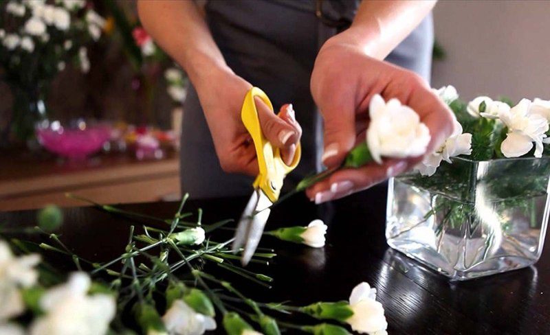 Cách Cắm Hoa Hồng Bàn Thờ Chúa: Hướng Dẫn Chi Tiết Cho Gia Đình Công Giáo 3 meo giu hoa tuoi lau
