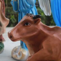 Tuong noel hang da 1m2 017